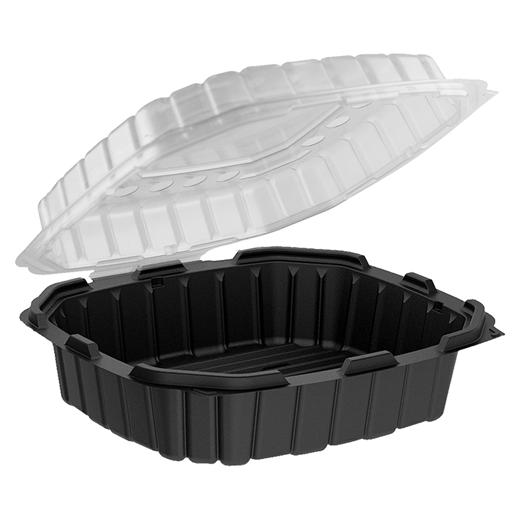 CONTAINER PLAS 10X9 HINGED CRISP F 120/ - BradyPLUS