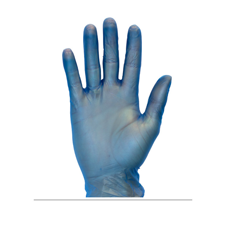 The Safety Zone ® Powder Free Blue Vinyl Gloves, Small | 10/100 Case